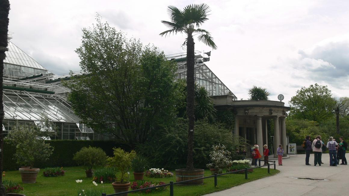 Ботанический сад Мюнхена