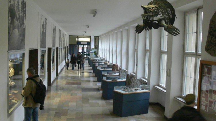 museum 14a geolog