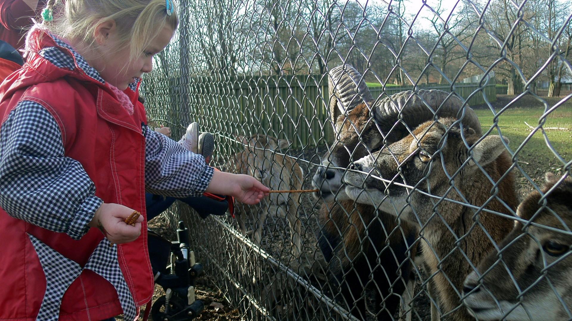 Хиршгартен с детьми